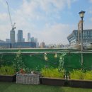 노량진역(3) 이미지