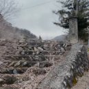 벽탄초 비룡분교장 네이버블로그