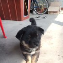 백암세차장 이미지