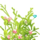 황기순농장 이미지