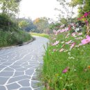 우산공원길 이미지