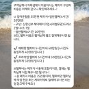 업타운 | 제주도 웨딩스냅 : 오드리테일러 + 업타운필름 스냅 솔직후기 (+일반헬퍼 지혜헬퍼님)