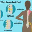 팜시티 퍼포먼스센터 이미지