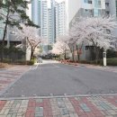 휴먼시아공인중개사사무소 이미지