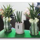 새보람약국 이미지