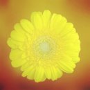 자기의 욕망에 집중하라 이미지