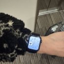 라벨뷰 | 이탈리아 스위스 신혼 여행 5일차 - 스위스 슈피츠, 호텔 벨뷰, Pura Vida, 슈피츠 성, coop 마트...