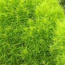 무성건설(주)
