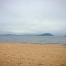 새천년여행사 네이버블로그