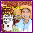 수색농원 | 밤잠 설치는 당신께! 청년농원 루이보스티 무카페인 임산부 차 효능 총정리