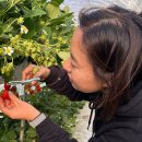 한국한센복지협회부설의원 | 합리적인 진료 알레르기 전문 피부과 한국한센복지협회 대전충남지부