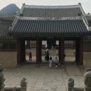 농서로R | ♡。·˚˚· 최근 일상 낉여왔어요 (with 급성치수염)·˚˚·。♡
