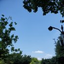 보라매차고지 이미지