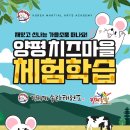 송라태권도 이미지