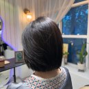 헤어살롱 노블레스 | [경기 고양] 선생 헤어살롱 백석 본점 – 새치머리 염색 리얼 후기