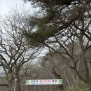 선암사 | 전남 순천 선암사 방문후기: 데이트 코스 추천, 산책하기 좋은 곳