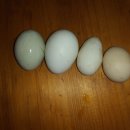 마이외과 정형외과의원 이미지