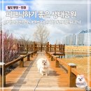 연희자연마당 공원  | 인천 애견동반 가볼만한곳 연희자연마당 | 피크닉 호수 산책코스