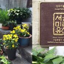 새서울이용원 이미지