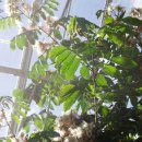 비오아이 이미지