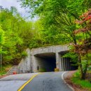 번암무룡고개로 이미지