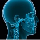 에피파니치과의원 이미지