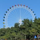 하늘에너지㈜평화주유소 | [공지] [블챌 10주차] 차타고 속초속으로 2편