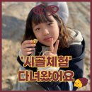 감일퍼스트 태권도 이미지