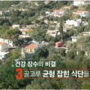 블루존 이미지