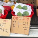 유꽃보다 | 언제쯤행복이굴러들어올까요