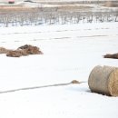 무주한의원 이미지