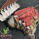 아이언 플렉스(IRON FLEX) 이미지