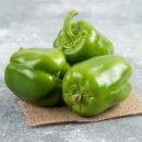 피망 이미지