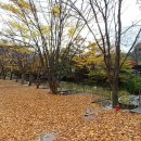 오카나간캠핑장 이미지