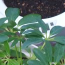 광주탑정형외과 이미지