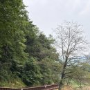 제천궁도장 이미지