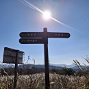 얼음골 제3주차장 앞 ~ 호박소 주차장 입구(삼양리 194-5 ~ 산15-11) | 재약산 최단코스