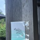 무지개약수터 | 경남 산청 지리산에 위치한 자연 속 고요한 시간을 즐길 수 있는 촌캉스 숙소 : 고운동천 동백꽃 후기