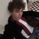 N&A로열독 이미지