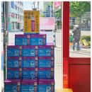 송현경북약국 이미지