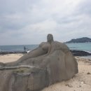 보담애월 이미지