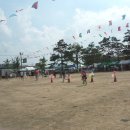 오리궁뎅이 이미지