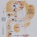 호성프라자약국 이미지