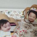 안암지구대 이미지