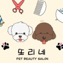 또리네 Petsalon 네이버블로그