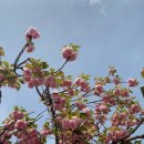 블랙멀티짐 이미지