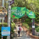 [ 12 / 19 ] 구봉산 중잉공원 치유의숲 창립 4주년 기념 도보 이미지