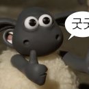 스텝인스튜디오