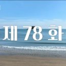 화인민박 이미지