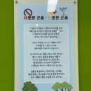 나비공원1(자연교육센터) | 아이와 함께 가기 좋은 인천나비공원 자연교육센터